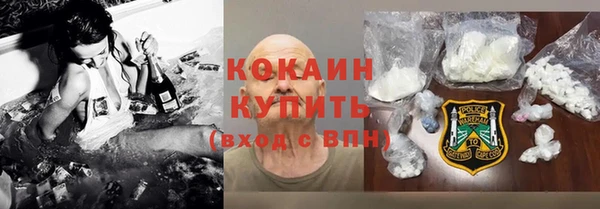 амф Новозыбков