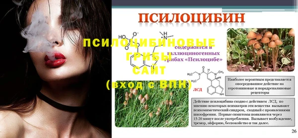 амф Новозыбков