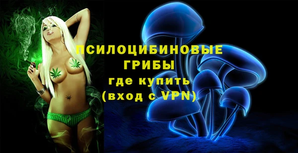 твердый Новокубанск