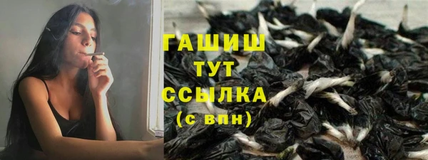 соль ск Няндома