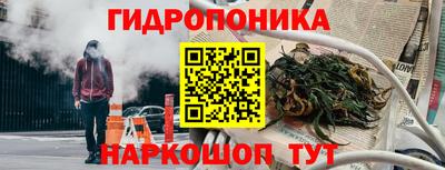 шишки Абакан
