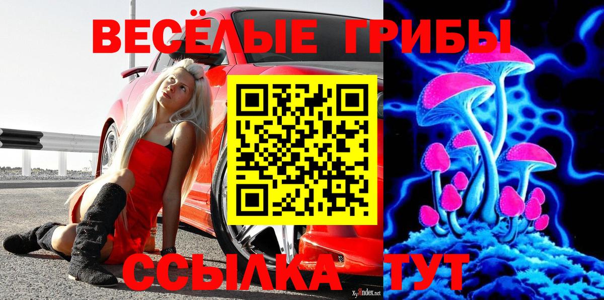 Галлюциногенные грибы Cubensis Кинель