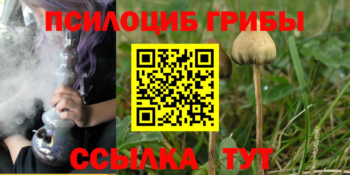 Псилоцибиновые грибы прущие грибы  Вход с VPN  Кинель 