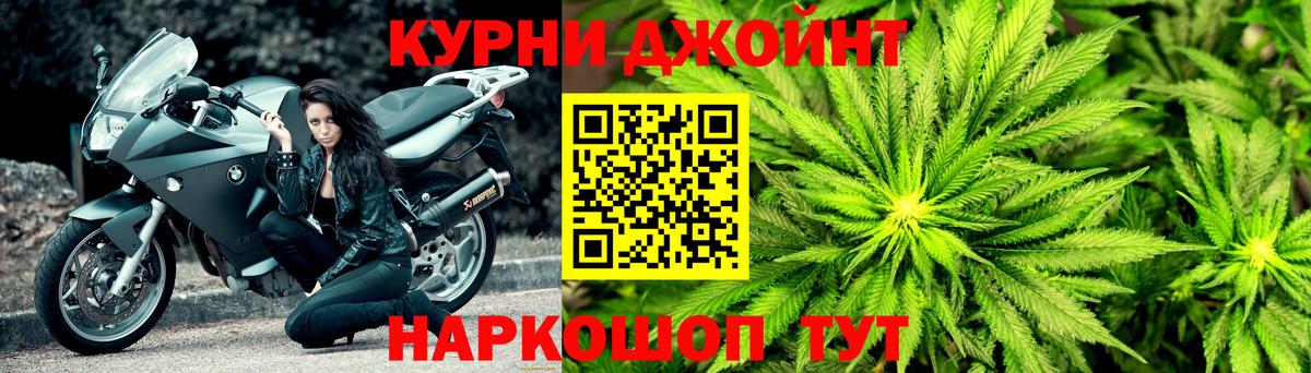 Бошки Шишки семена Кинель